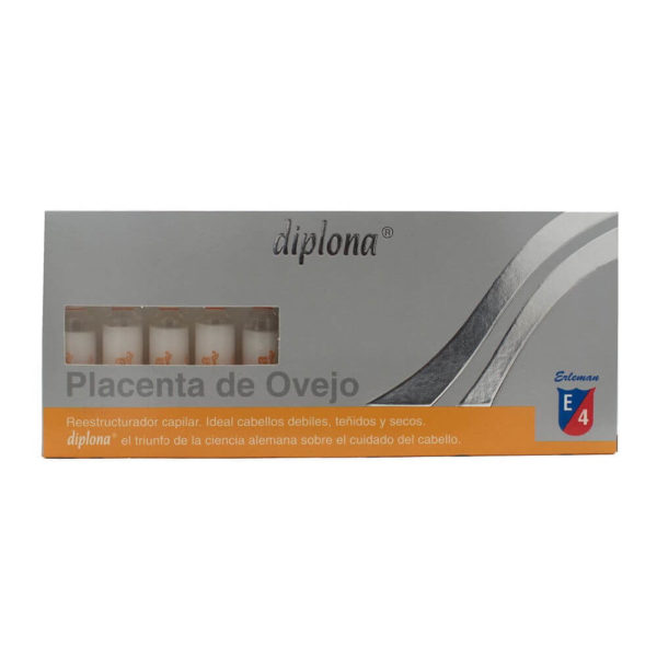 Diplona Placenta  Ampolla Capilar Nutritiva