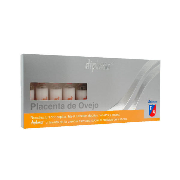 Diplona Placenta  Ampolla Capilar Nutritiva